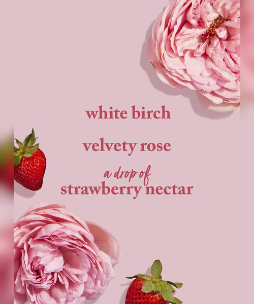 Related Product Image 2